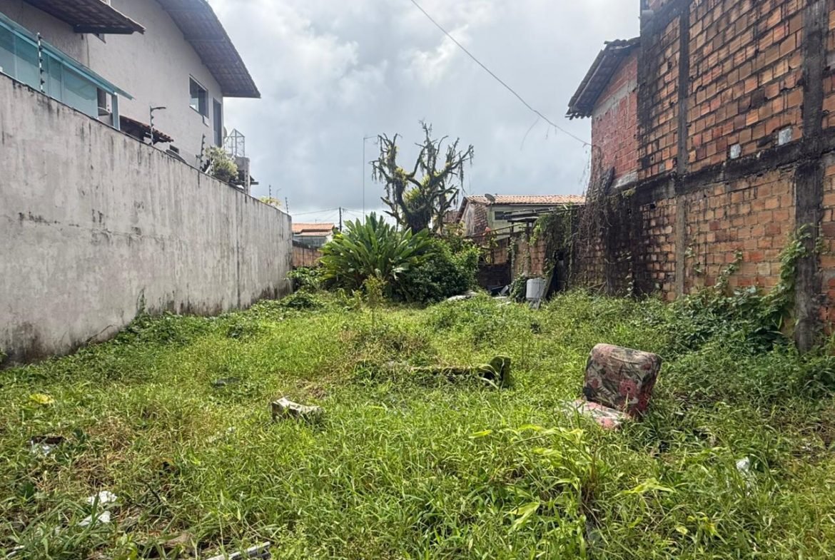valenca bahia terreno 17