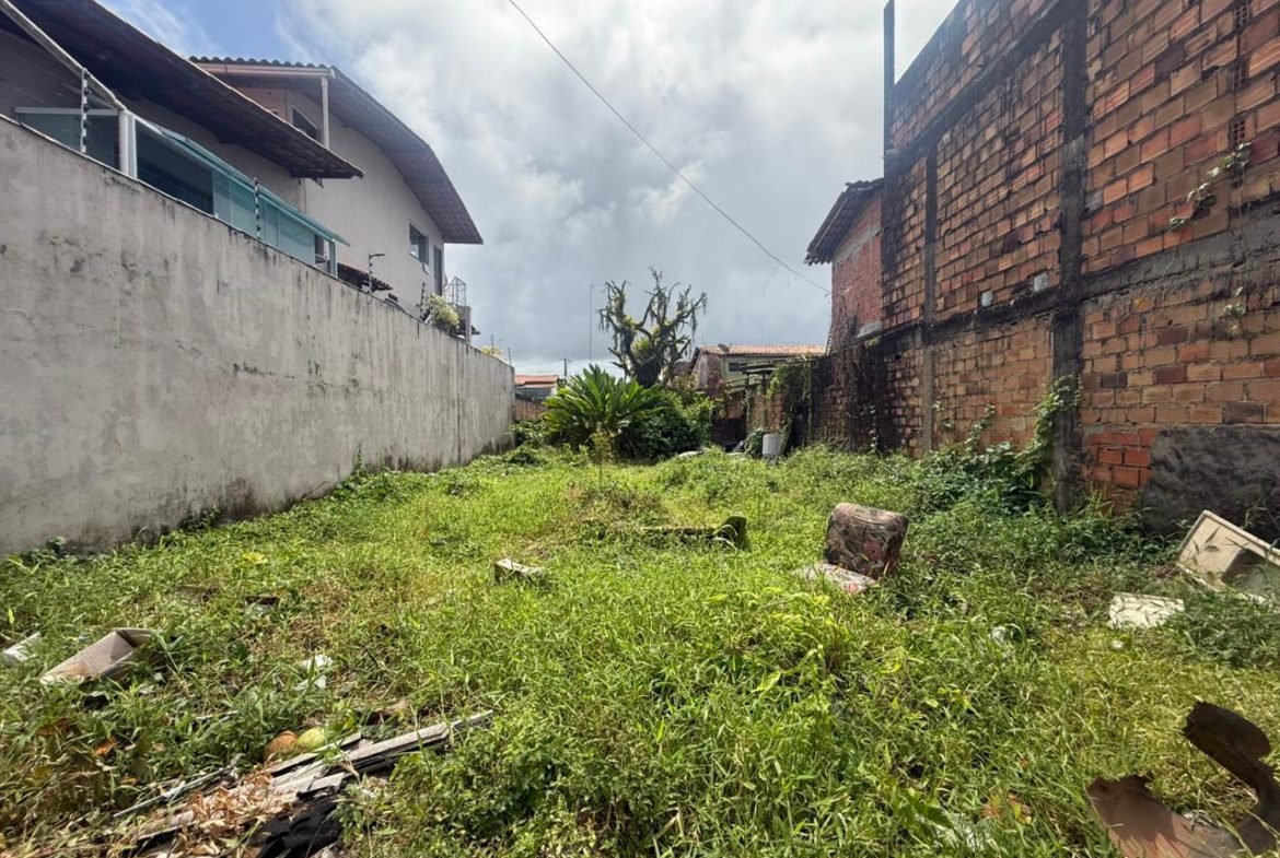 valenca bahia terreno 19