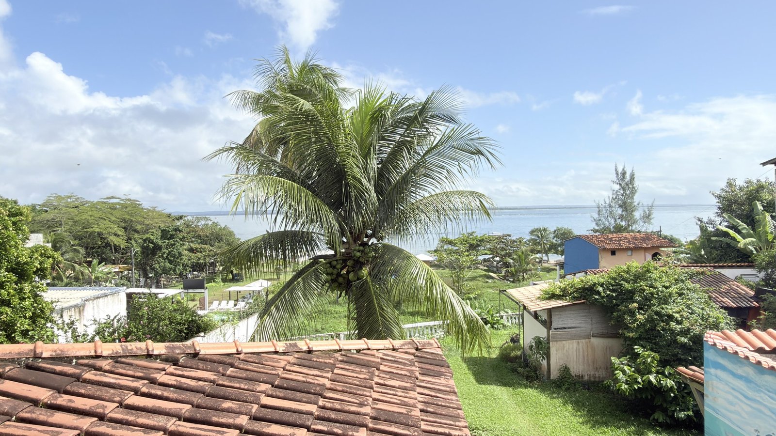 gamboa do morro ()
