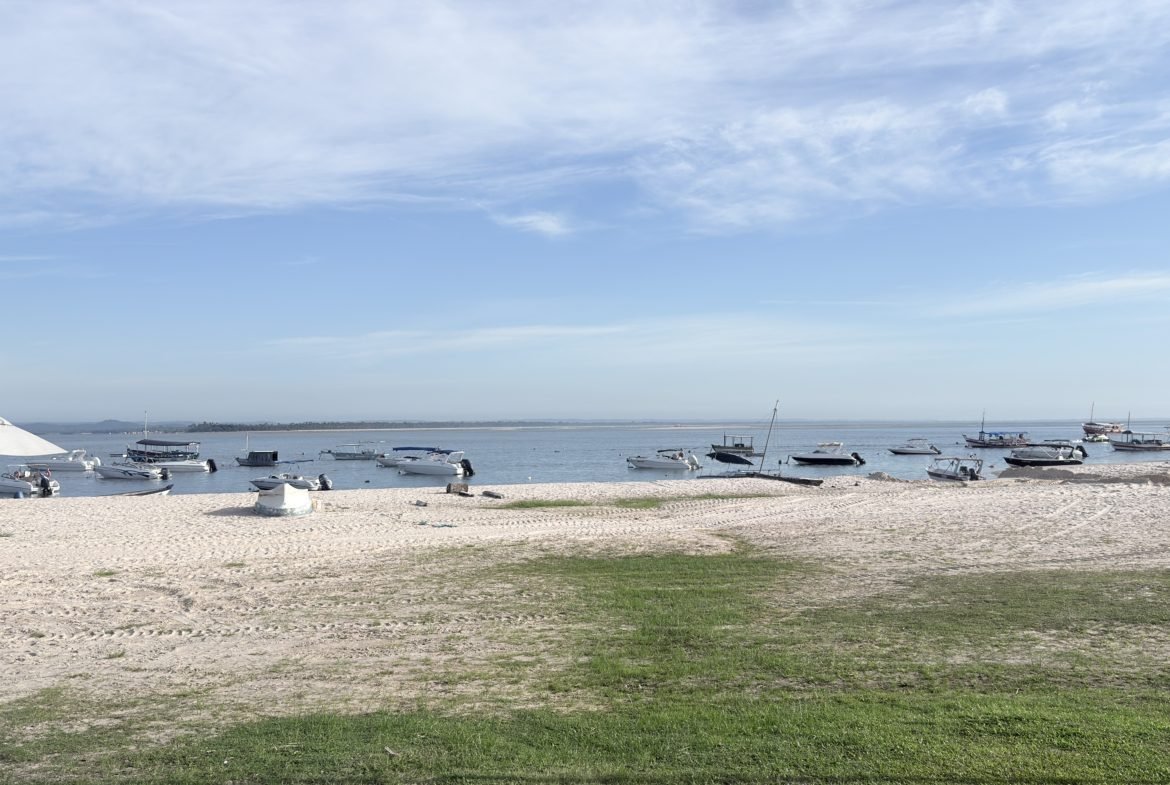 gamboa do morro ()