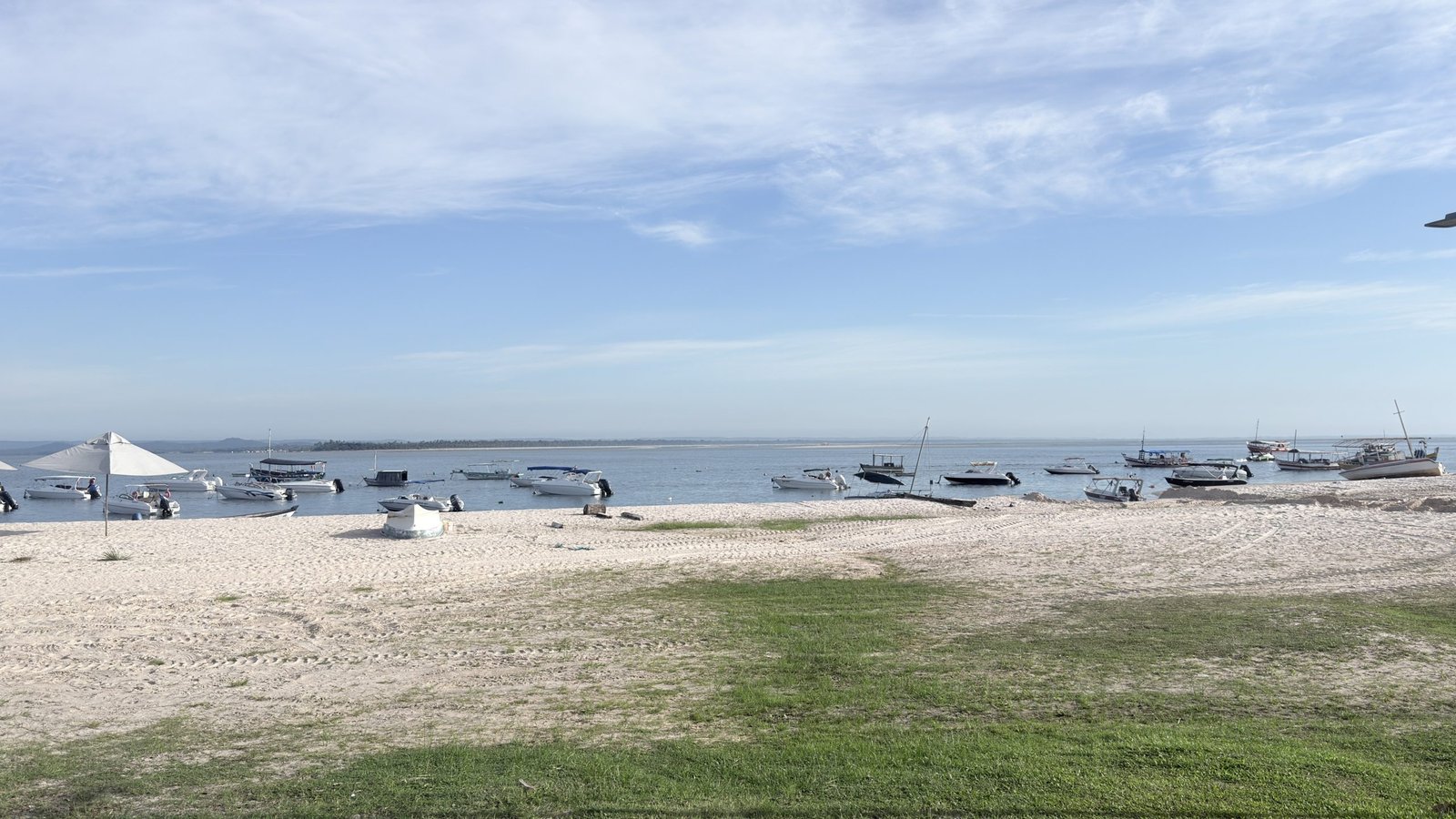 gamboa do morro ()