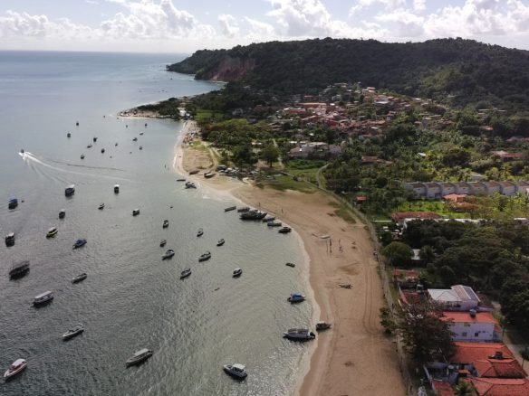 gamboa do morro ()