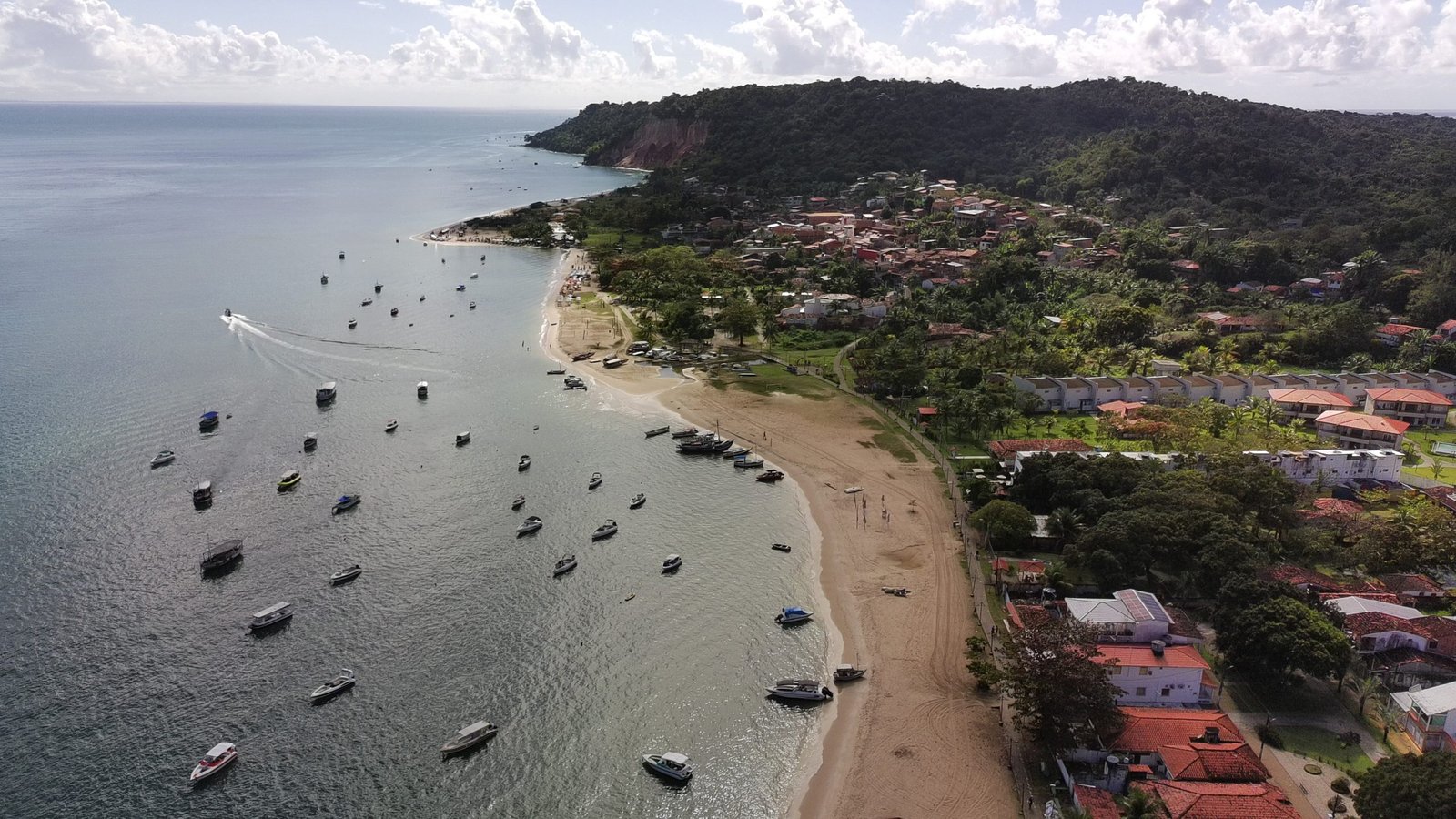 gamboa do morro ()