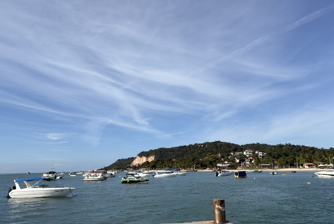 gamboa do morro ()