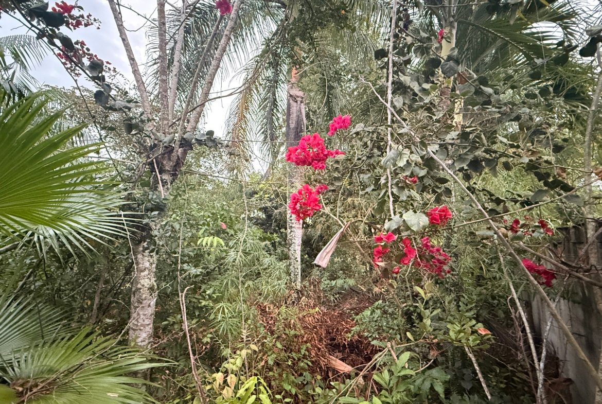 Terreno à venda na Praia de Guaibim 400m² a 200m do Mar – Com Escritura