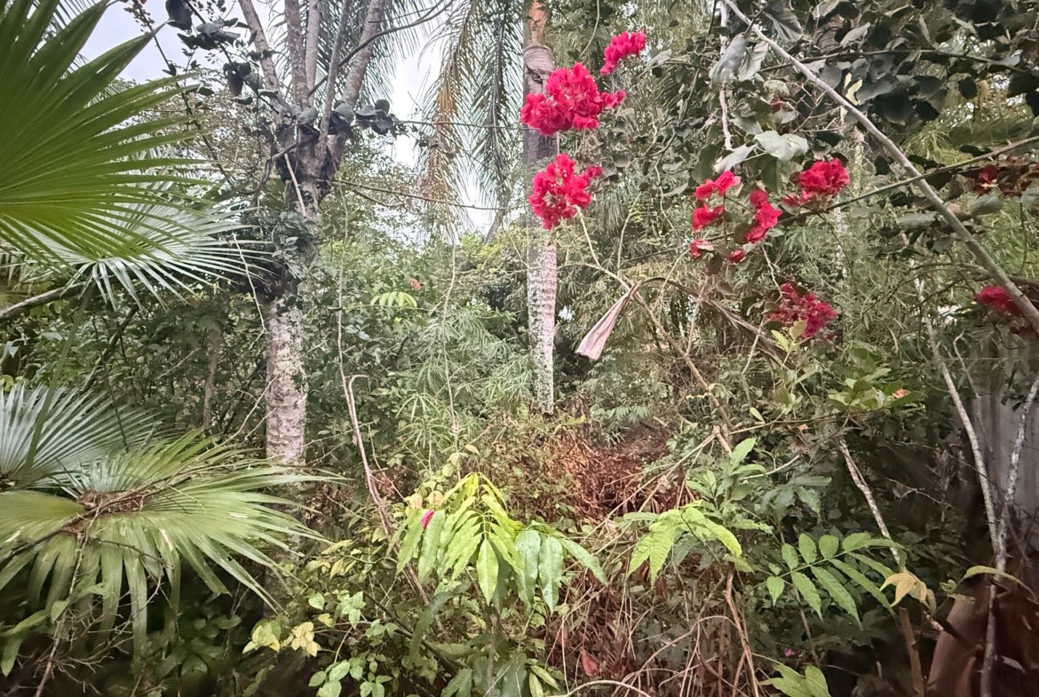 Terreno à venda na Praia de Guaibim 400m² a 200m do Mar – Com Escritura