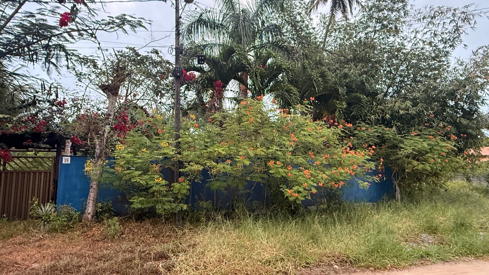Terreno à venda na Praia de Guaibim 400m² a 200m do Mar – Com Escritura