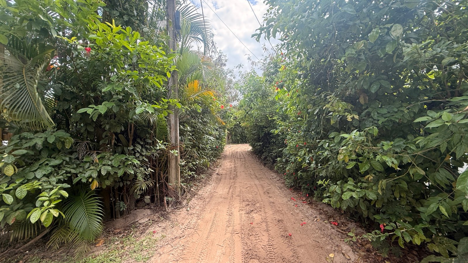 Aparatmento à venda em Morro de São Paulo – 250m da Quarta Praia – Ideal para Airbnb