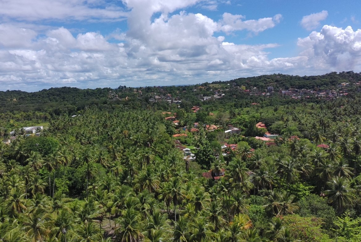 Terreno de 450m² (15x30m) a 300 Metros da Quarta Praia – Morro de São Paulo/BA