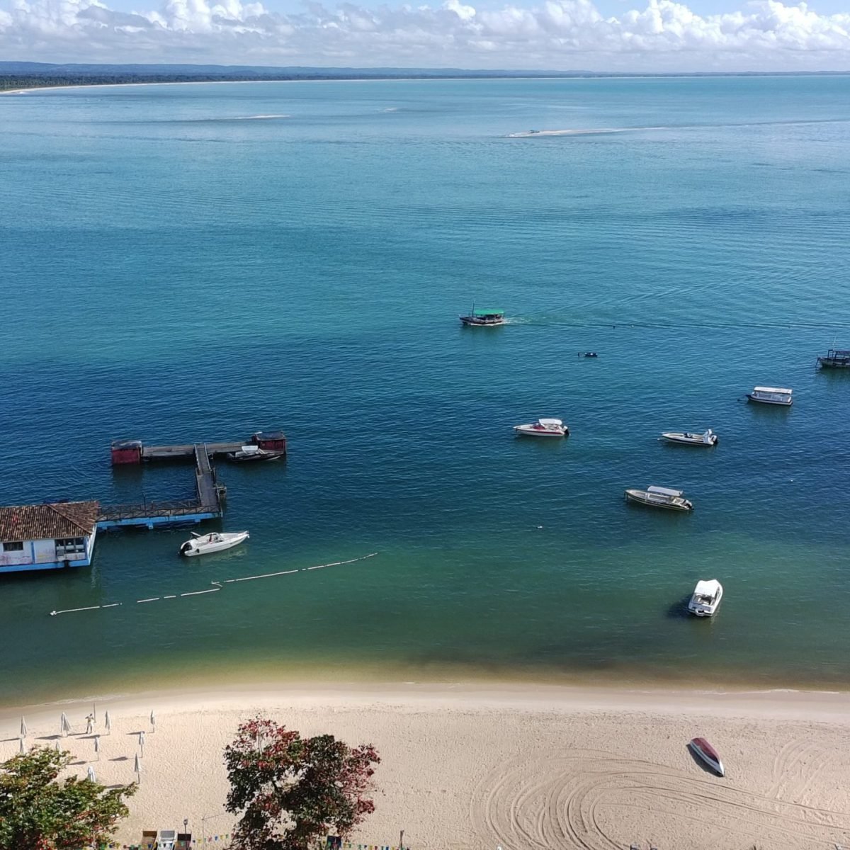 gamboa do morro ()