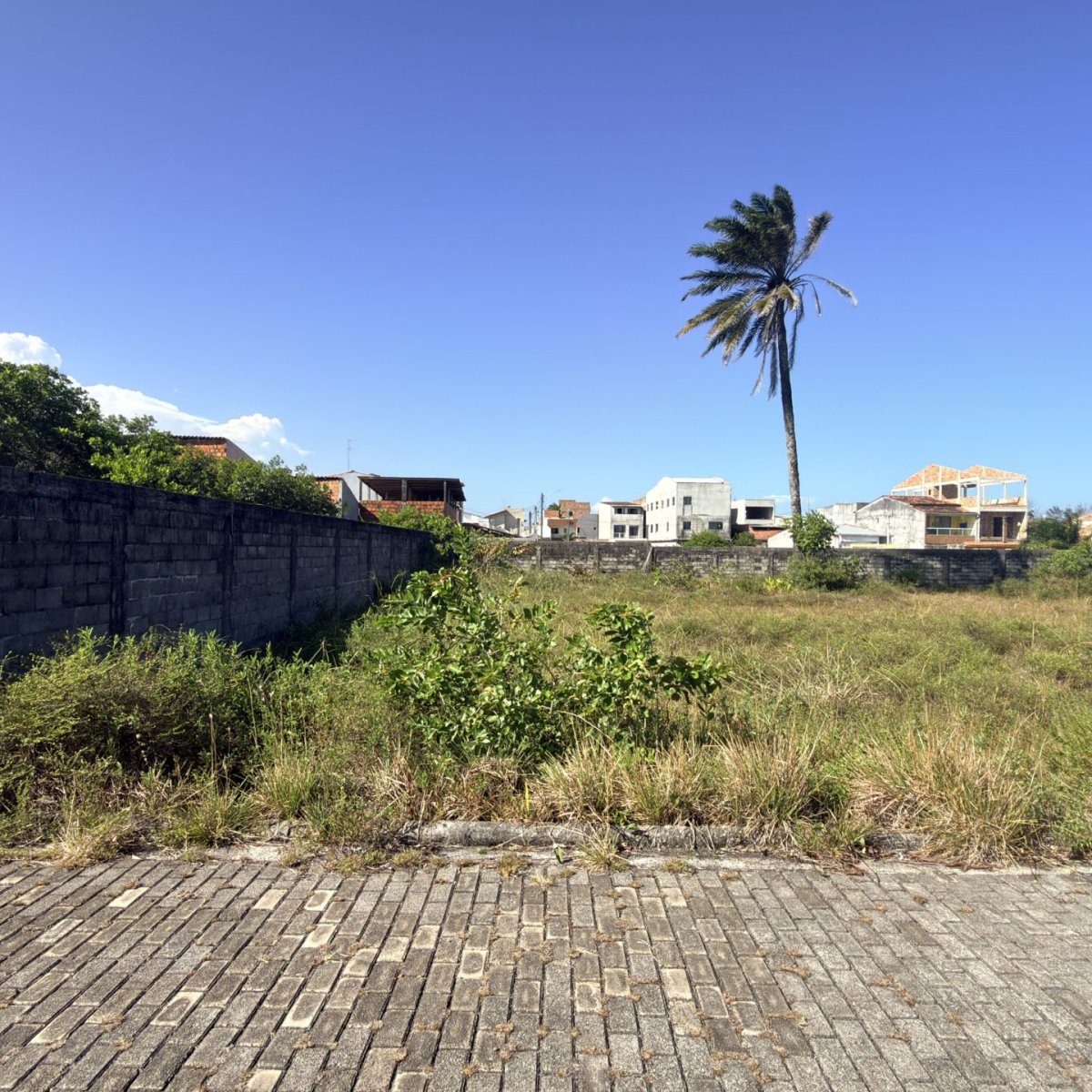praia de guaibim 8 scaled